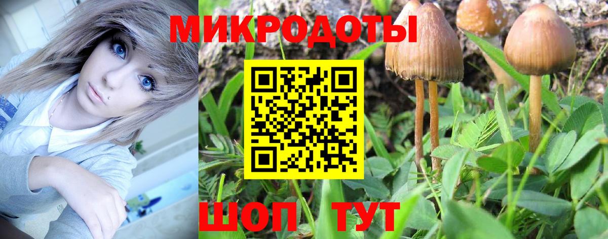 Галлюциногенные грибы Magic Shrooms Краснокаменск