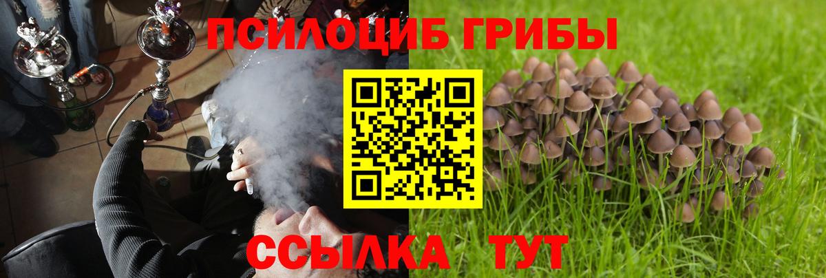 Псилоцибиновые грибы Magic Shrooms  Псилоцибиновые грибы Magic Shrooms  Краснокаменск  Вход с VPN 