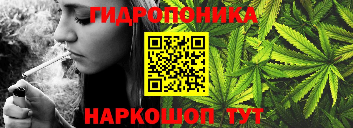 Бошки марихуана план  Шишки марихуана White Widow  Бошки марихуана OG Kush  Вход с VPN  Краснокаменск 